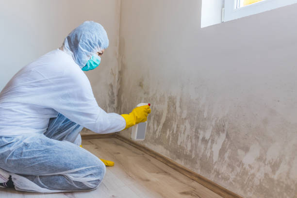 Licensed Commercial Mold Remediation service in Manchester, TN - WQB Mold Removal