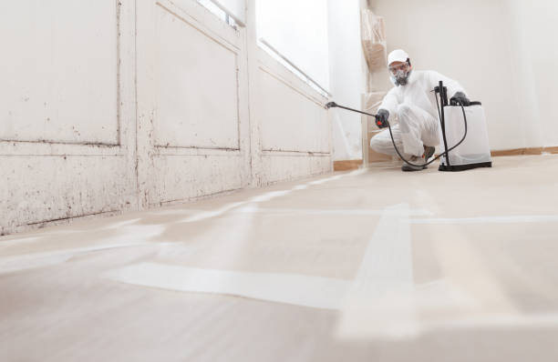 24/7 Emergency Commercial Mold Remediation experts in Manchester, TN