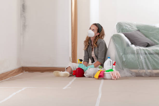 Reliable Commercial Mold Remediation contractor in Manchester, TN by WQB Mold Removal