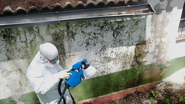 Top rated local Commercial Mold Remediation specialists in Manchester, TN